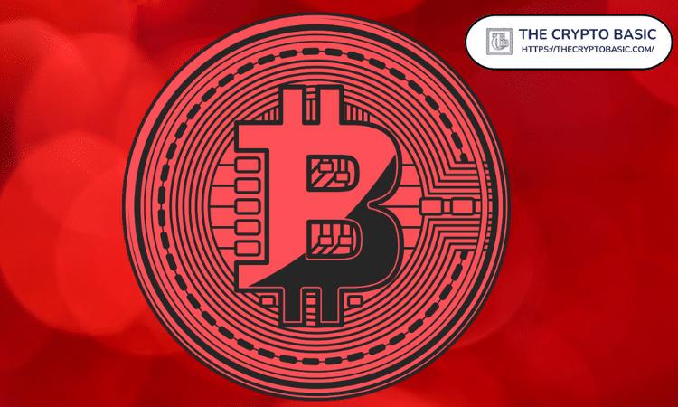 比特币现在出现了与 2021 年牛市结束相同的分歧