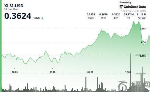 XLM短时飙升5%后遭遇尾盘急跌，收盘微涨1%