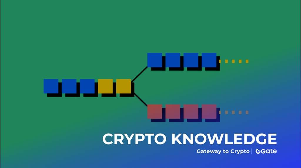 区块链硬分叉与规则不兼容的深度解析