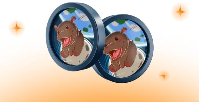 河马币Moo Deng是什么？Solana生态下的Meme币有何独特之处？