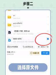 哪个播放器能播放百度网盘mts格式