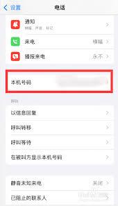 苹果手机如何查询本机号码