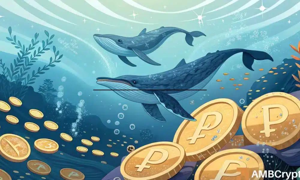 PUMP 市场的拉锯战：多头增持，空头套现