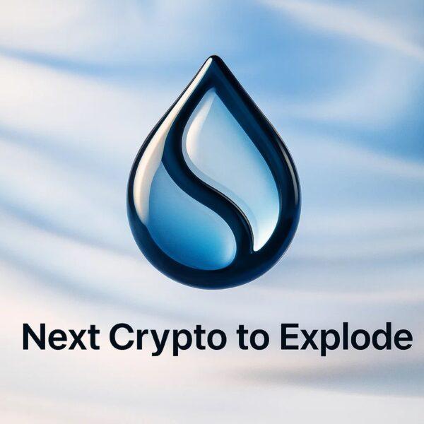 尽管 SUI 新闻看涨，SUI 价格仍大幅下跌：鲸鱼竞标下一个爆发式增长的加密货币