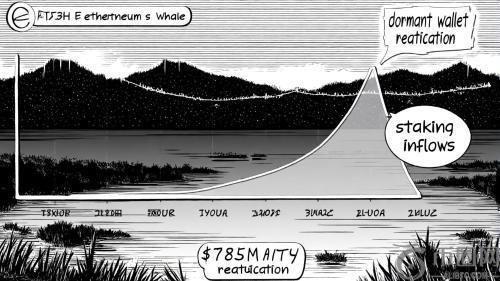 以太坊机构采用加速：休眠鲸鱼活动揭示市场信心与长期潜力