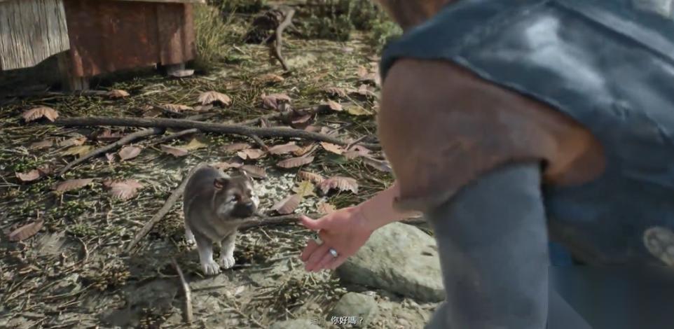 往日不再捕捉小狗任务怎么做