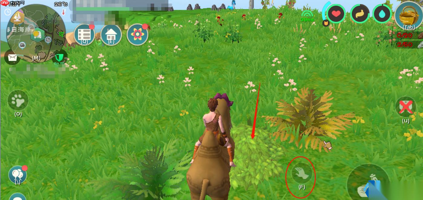 编织筐牧场物语 你的田园资源永动机