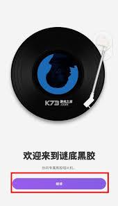 谜底黑胶怎么使用