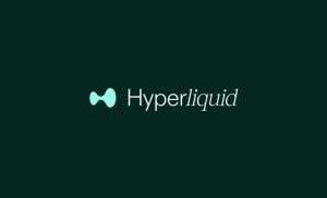加密货币专家：Hyperliquid 仍然是最有前景的投资 DEX