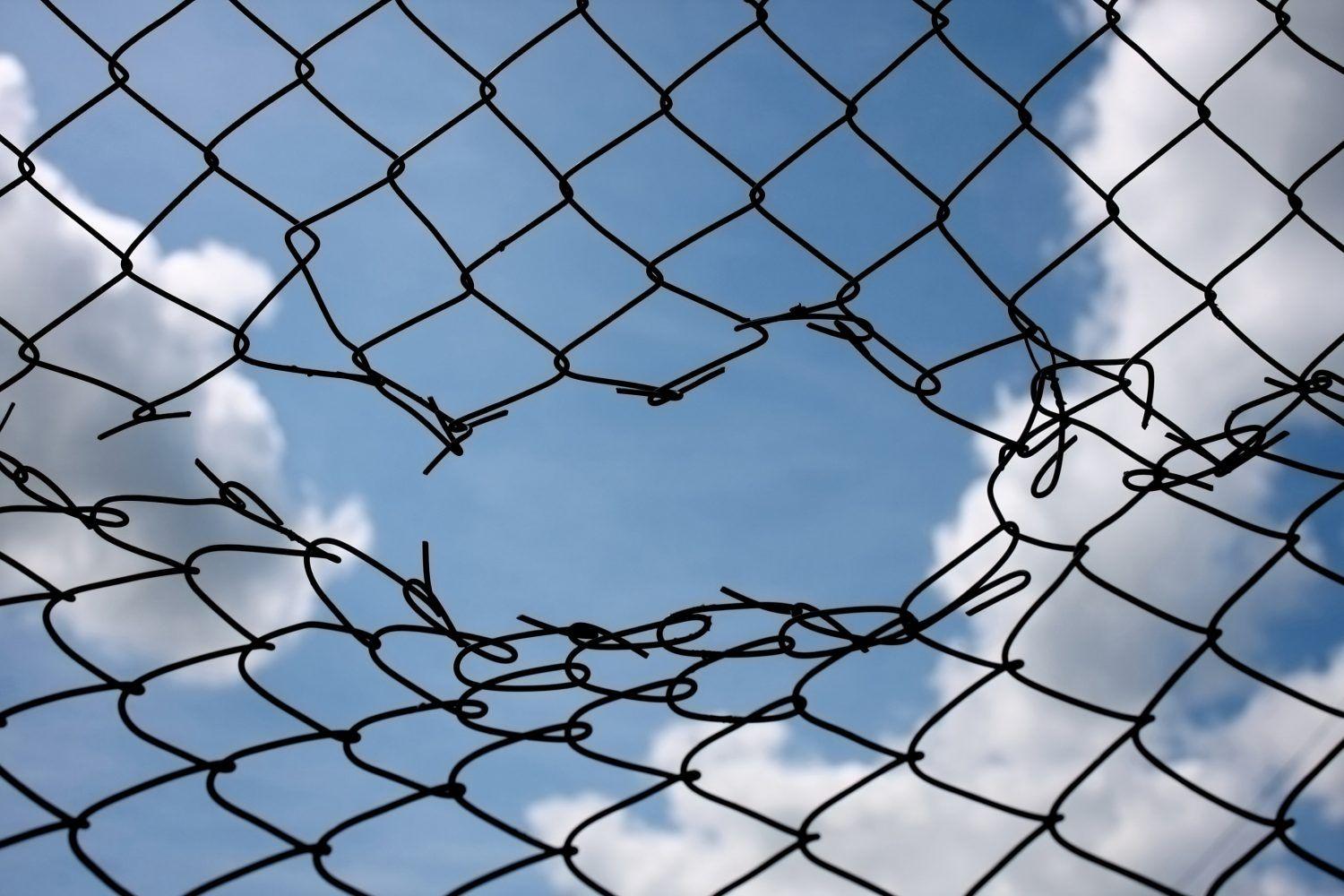 BNB突破1.1万美元，超越比特币和狗狗币，生态系统代币成为焦点