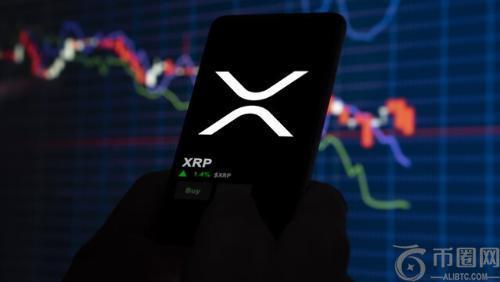 Zach Rector 对比 XRP 与市场其他主流加密货币表现：XRP 领跑牛市