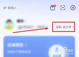 智联招聘如何设置求职状态