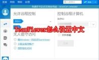 TeamViewer怎么设置中文