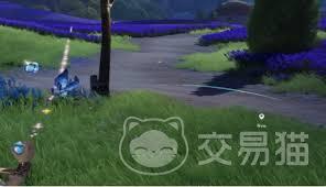 伊莫女巫草怎么样