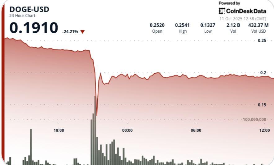 DOGE 价格闪崩 50% 后稳定在 0.19 美元附近