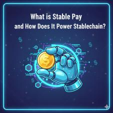 什么是 Stable Pay 它如何支持 Stablechain 的运行