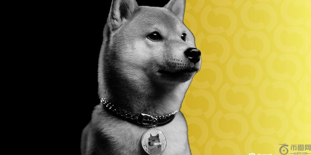 为什么狗狗币的跌幅比比特币和以太坊严重得多