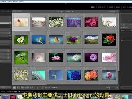 Lightroom如何更改缓存位置