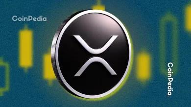 顶级瑞波币策略师与 XRP 持有者分享疯狂新闻，请密切关注这一水平