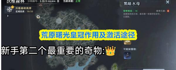 荒原曙光皇冠作用及激活途径