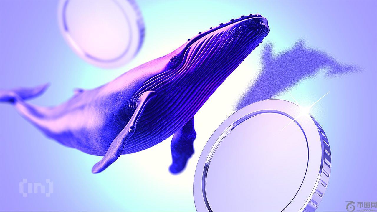 加密货币巨鲸本周是在押注更多上涨空间还是准备回调