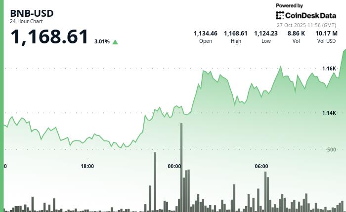 BNB 销毁 16.9 亿美元后上涨逾 3%，市值超越 XRP