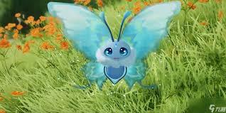 伊莫荧光蝶怎么样