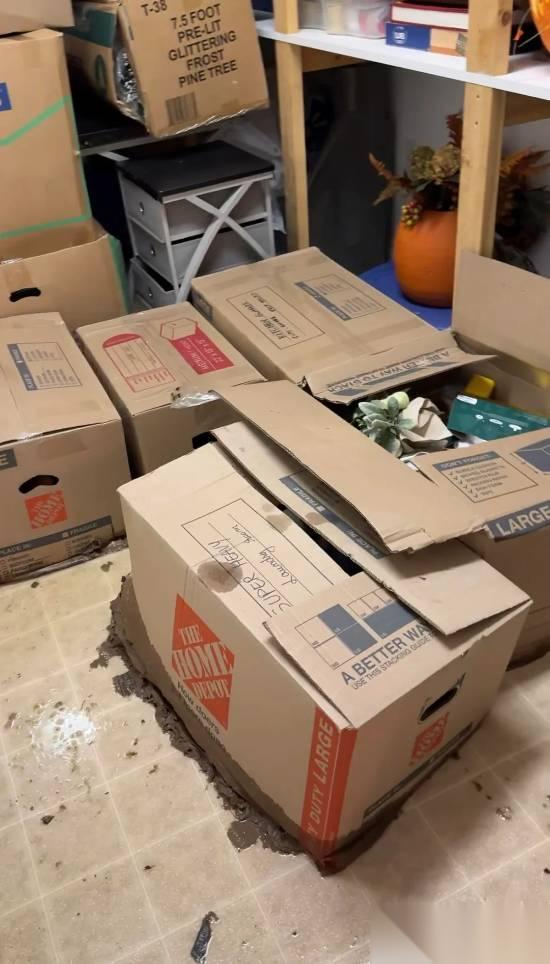 污水突袭致宝可梦卡牌收藏尽毁