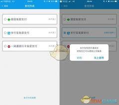 爱南宁如何关闭免密支付
