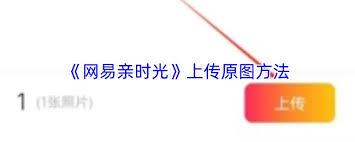 网易亲时光如何上传视频