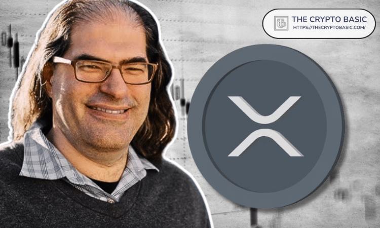 评论家告诉Ripple首席技术官，XRP是什么，XRP不是什么。