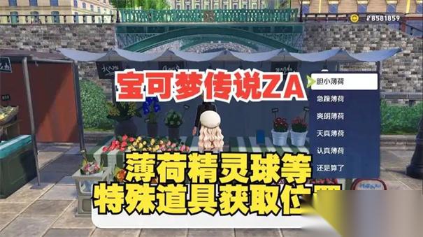 宝可梦za薄荷在哪里买