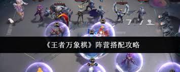 王者万象棋阵营如何搭配