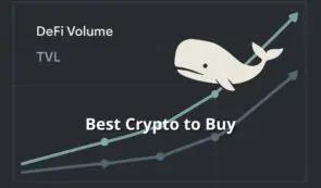 随着 DeFi 巨鲸开启新一轮囤币行情，哪些加密货币最值得买入