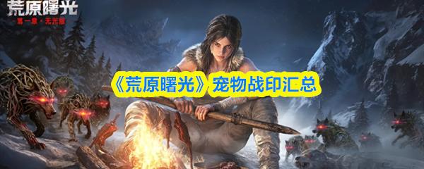 荒原曙光 宠物战印汇总