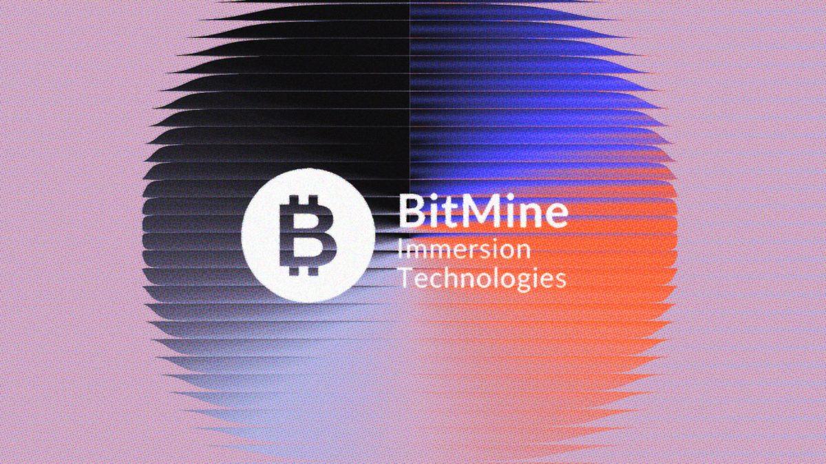 领先的以太坊金库公司 BitMine 任命新任首席执行官，并扩大董事会规模。