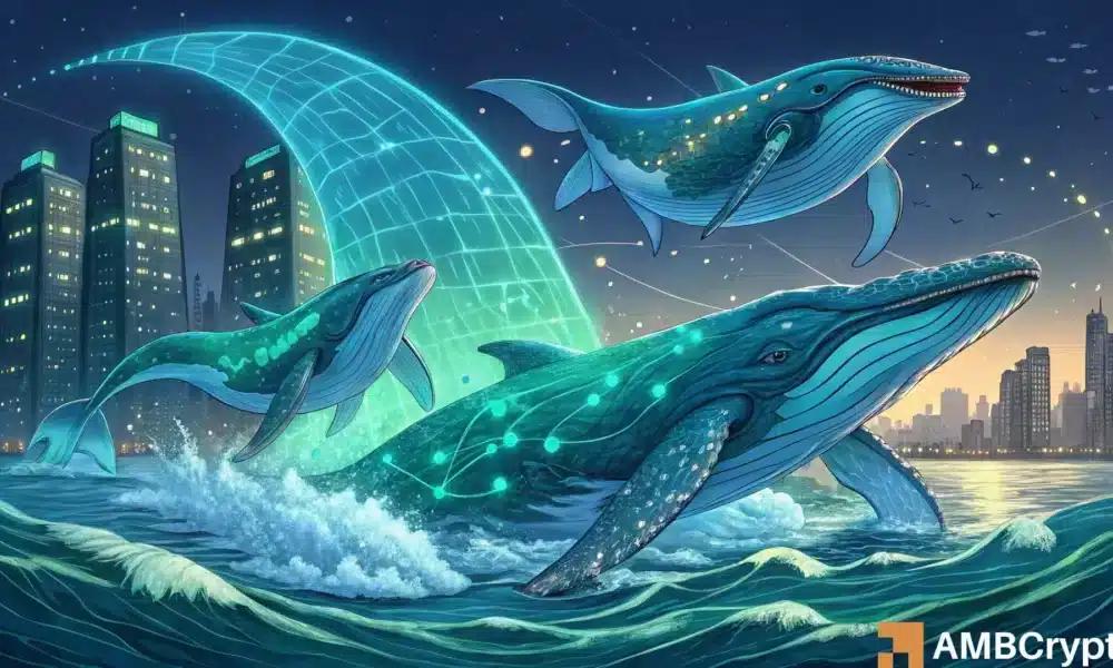 巨鲸们1776万枚ENA的买入能否最终将Ethena的价格推高至0.30美元以上