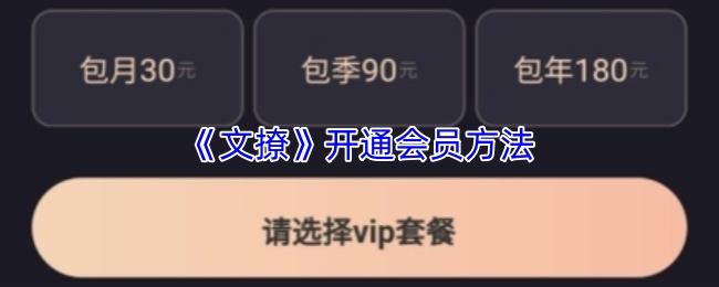 文撩 开通会员方法