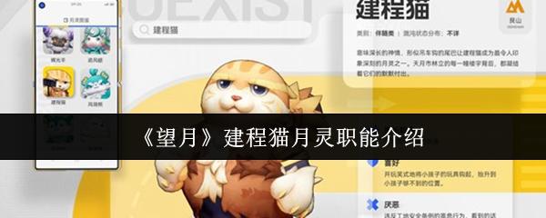 望月 建程猫月灵职能介绍