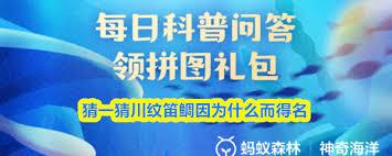 川纹笛鲷因何得名