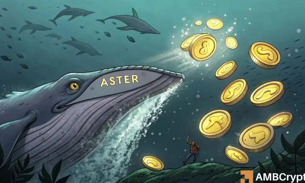 阿斯特·德克斯的护盾模式上线了，但熊们还没放弃。