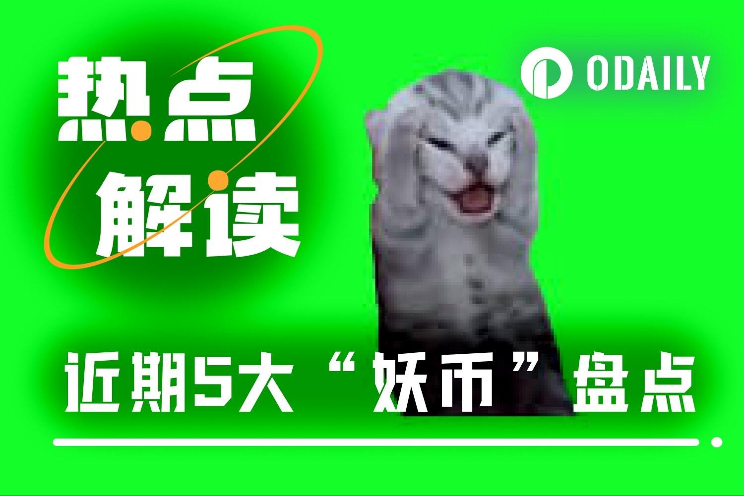 五大妖币逆市暴涨，下一个潜力币是谁