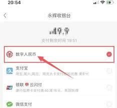 永辉生活如何使用数字人民币支付
