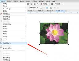 如何给CDR图像做特效