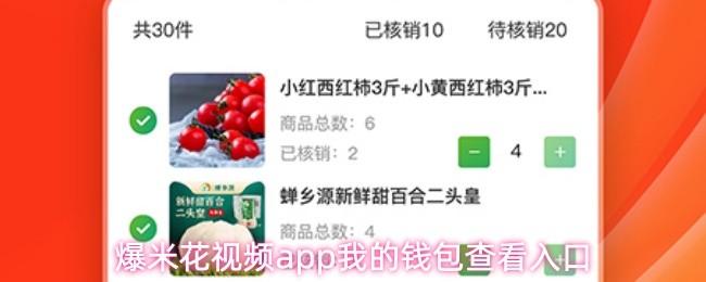 爆米花视频app我的钱包查看入口