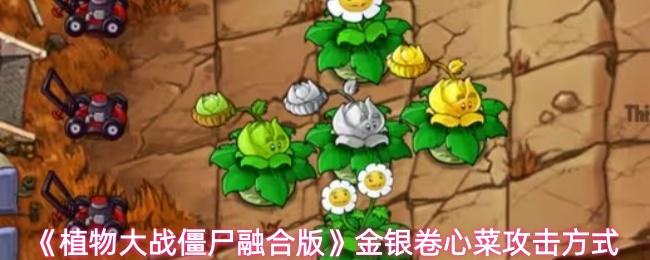 植物大战僵尸融合版 金银卷心菜攻击方式