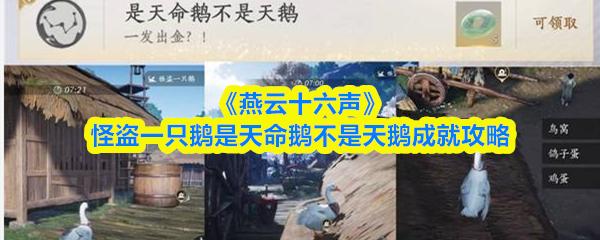 燕云十六声 怪盗一只鹅是天命鹅不是天鹅成就攻略