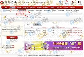 安徽农金信用卡如何管理查询