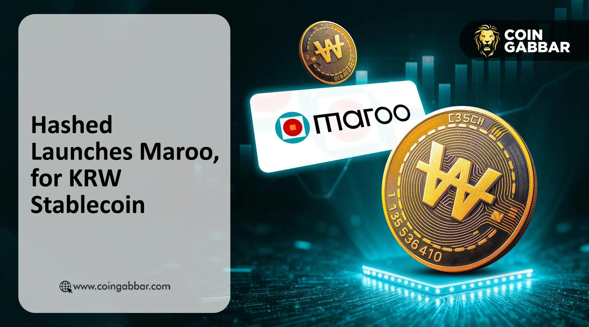 Hashed 揭示了 Maroo，韩国的韩元主权 Layer 1 区块链