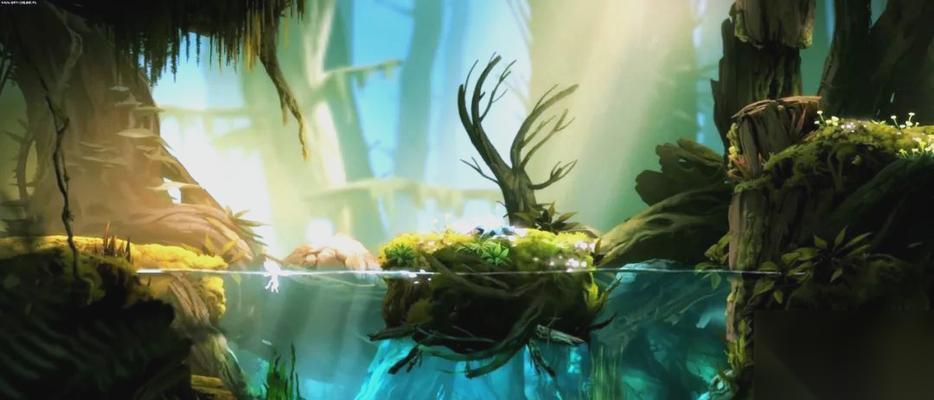 探索迷失森林 穿越丛林